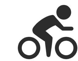 Training Optimizer